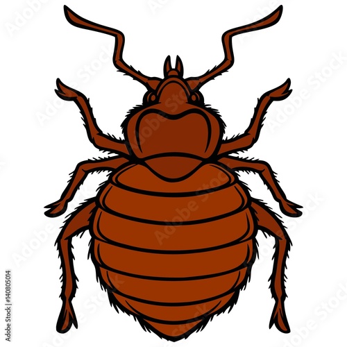 Bed Bug Graphic