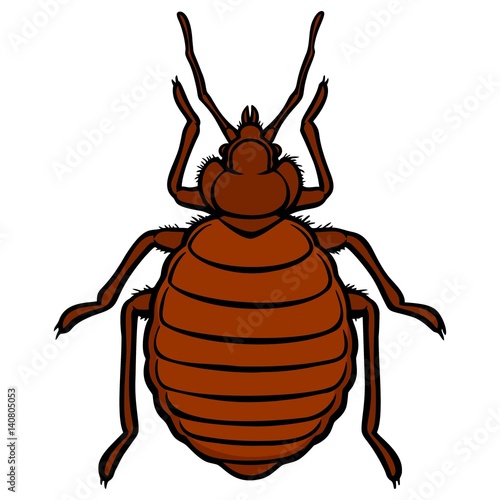 Bed Bug Icon