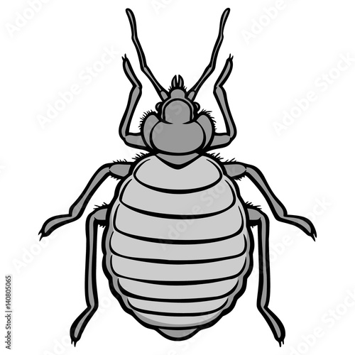 Bed Bug Icon Illustration

