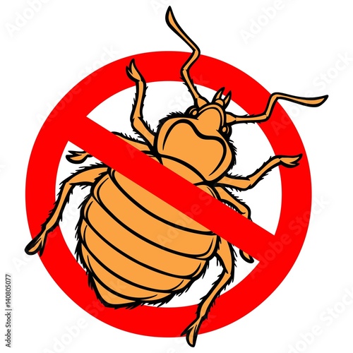 No Bed Bug