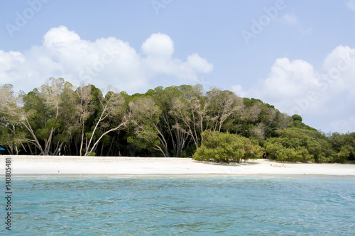 Mousha Masakali beach , Djibouti, East Africa