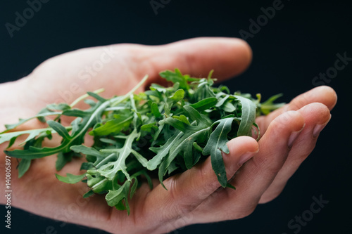 Rucola in hand on a black background Organic vegetables. Healthy food. Rocket salad in farmers hands