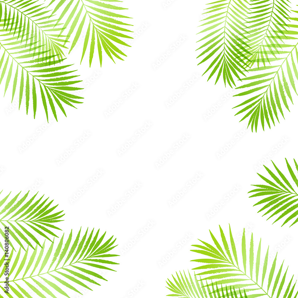 Summer tropical palm tree leaves border, frame background. Vector