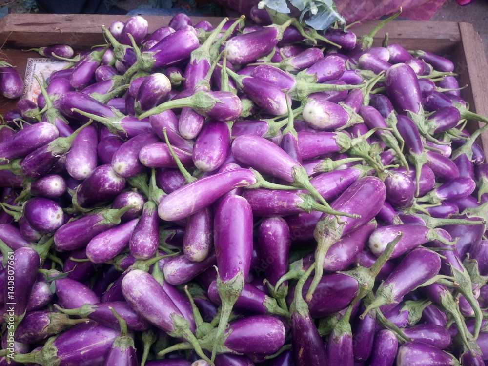 Egg plants for sale at market