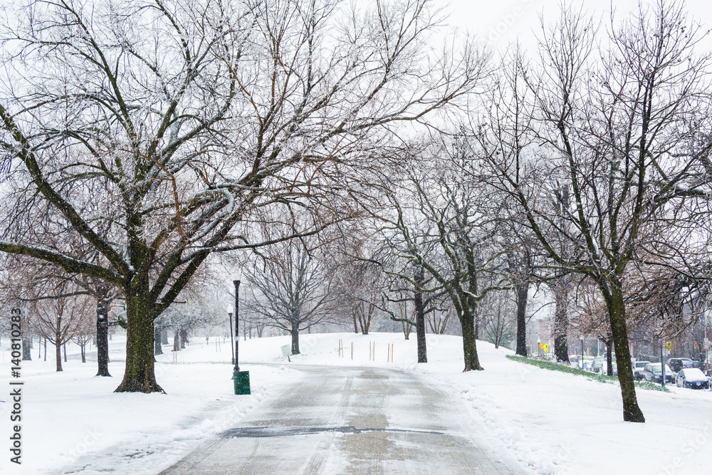 Walkway in the snow, in Patterson Park, Baltimore, Maryland. Walkway in the snow, in Patterson Park, Baltimore, Maryland.
