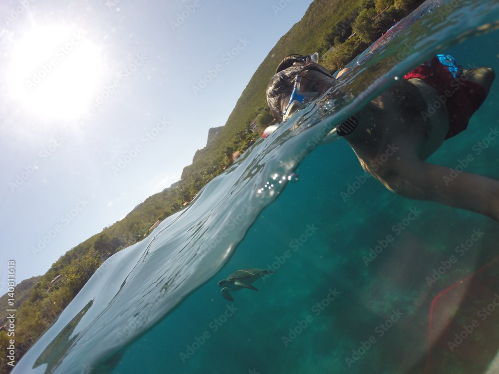 Fototapeta premium selfie avec une tortue