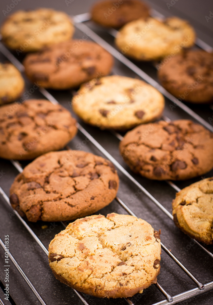 Fresh chocolate chip cookies on the cooling rack Fresh chocolate chip cookies on the cooling rack