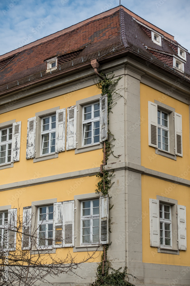 Obraz premium Gebäudeschäden durch Efeu