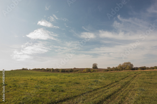 Countryside landscape with meadow and sky