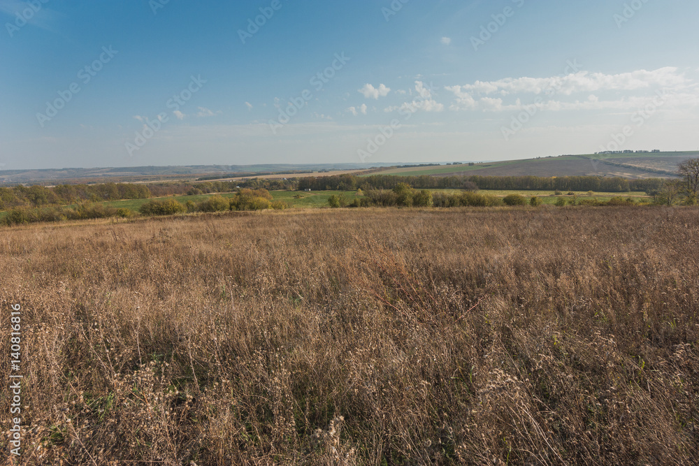 Russian fields - summer Meadow - ural landscape