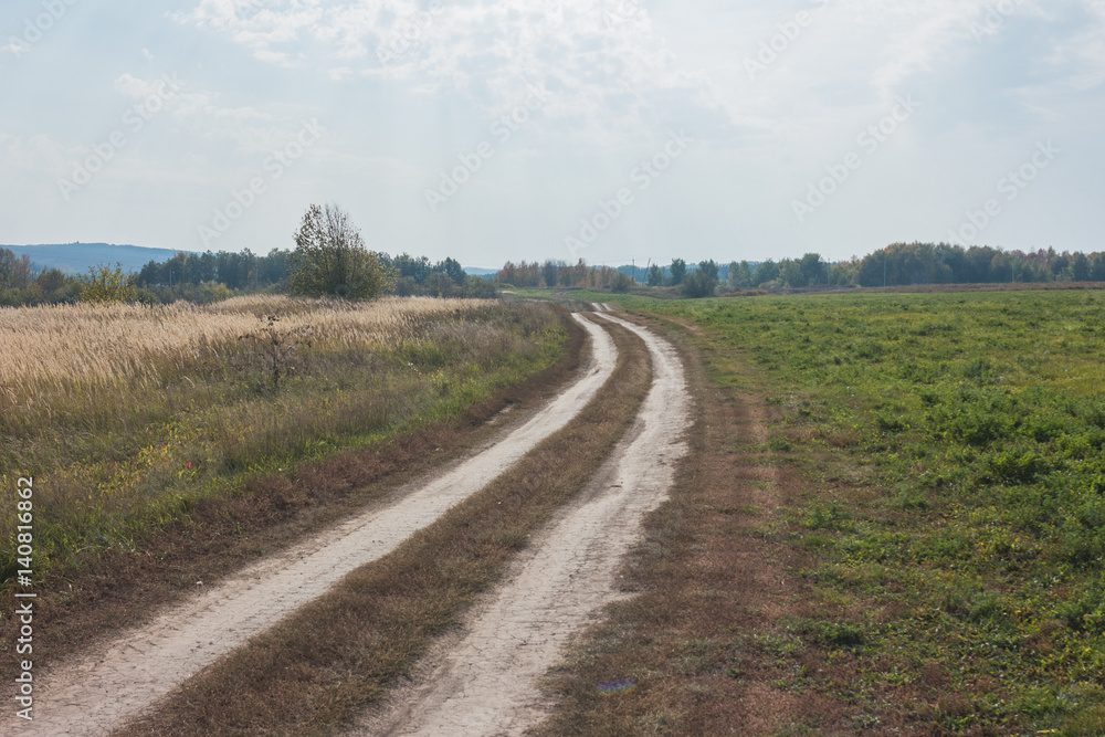 Rural road at summer Meadow - russian countryside landscape