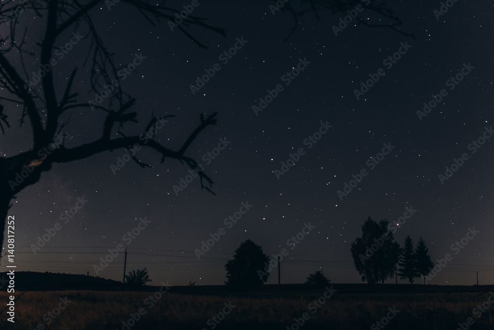 dark night sky full of stars. beautiful amazing night starry space and ...