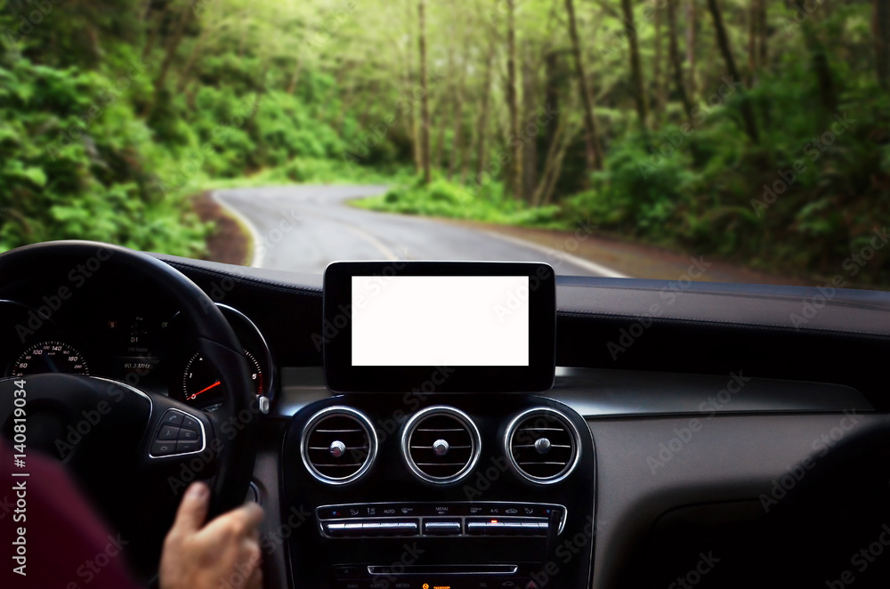 Closeup of modern navigation device with isolated screen in the car. Driving through the forest. Male hands on steering wheel