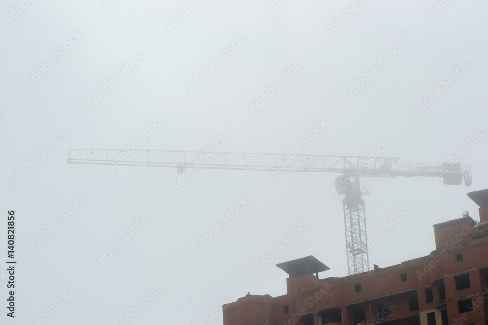 the crane in the fog