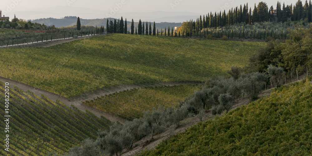 Obraz premium Tuscany