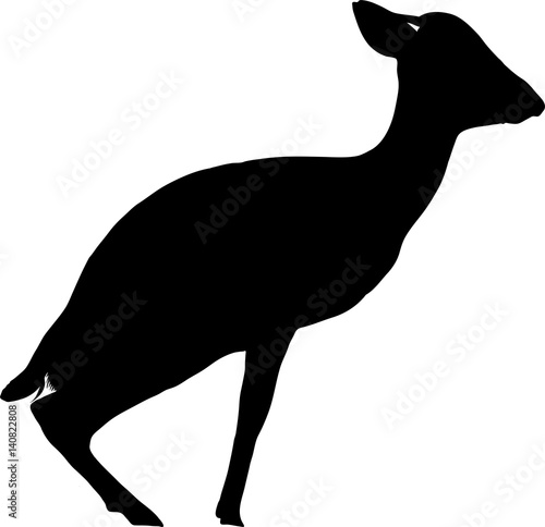 Silhouette of a damara dik dik sitting down - digitally hand drawn vector illustration