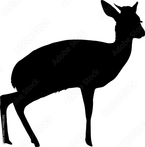 Silhouette of a standing damara dik dik - digitally hand drawn vector illustration