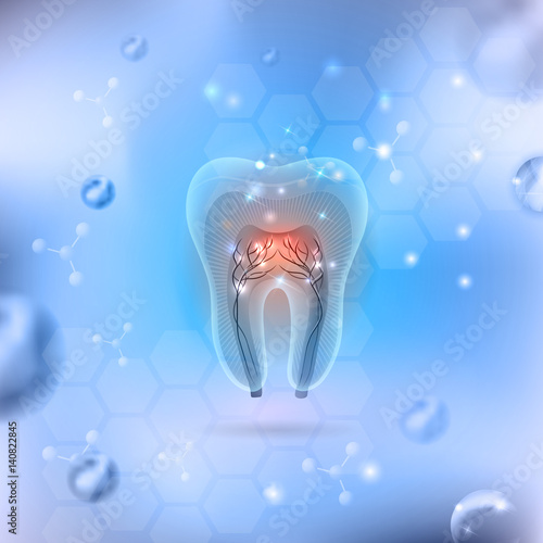 Beautiful transparent tooth cross section on an abstract background