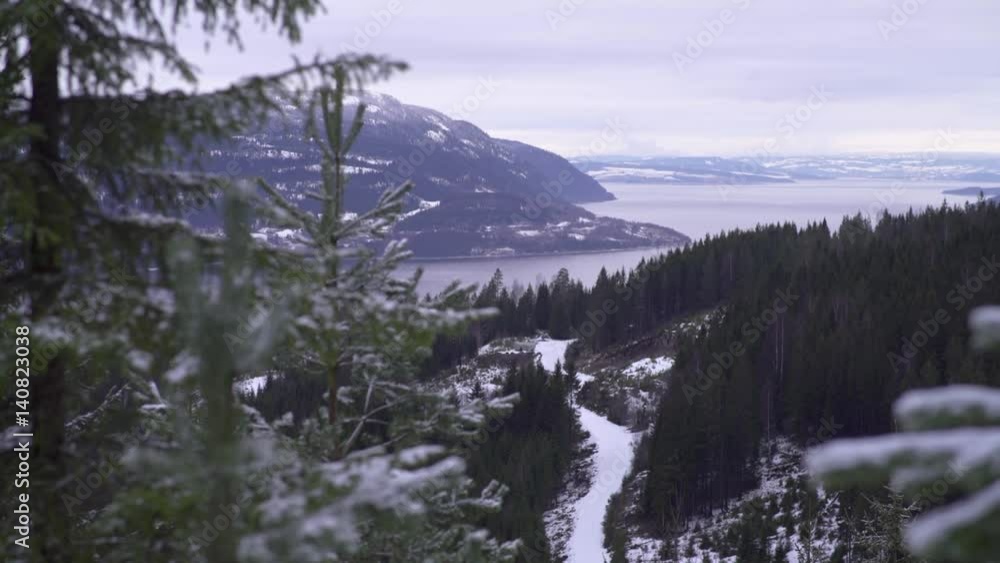 Pan view of a road along Mjøsa lake into forest, snowy day, Strandlykkja, Hedmark, Norway