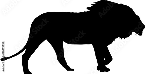 Canvas Print Silhouette of a walking male lion - digitally hand drawn vector illustration