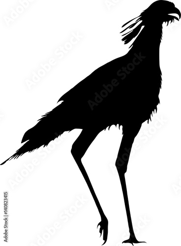 Silhouette of a secretary bird, walking- digitally hand drawn vector illustration