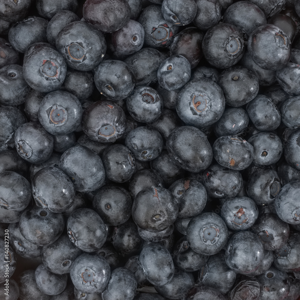 Close-up view of a pile of blueberries. Studio photography.