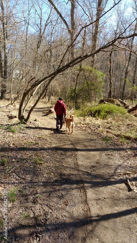 Walk in the woods