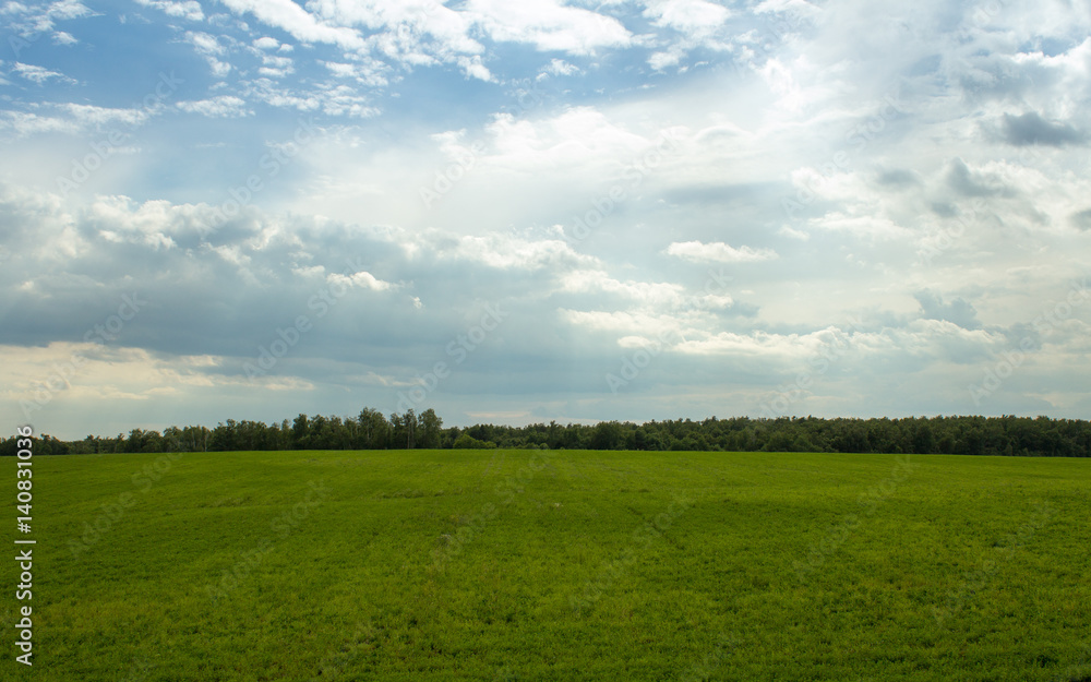 green meadow on background cloudy sky