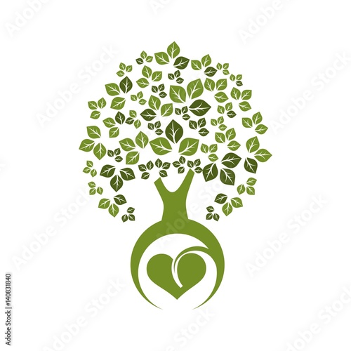 Tree with leaves and root, the symbol of eco