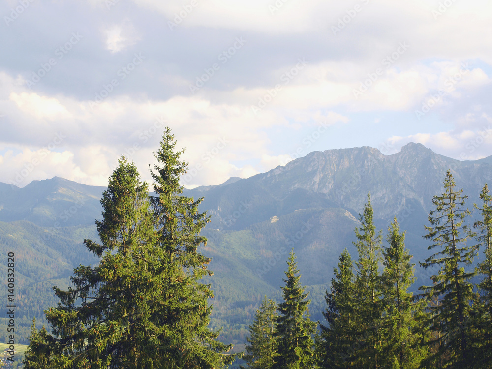 View on Polish Tatra Mountains in summer with trees and rural surroundings