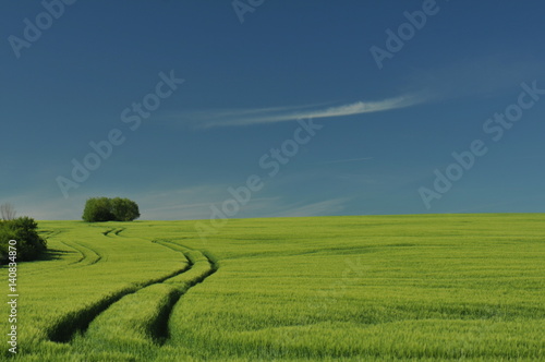 Romanian Fields With Cloud 