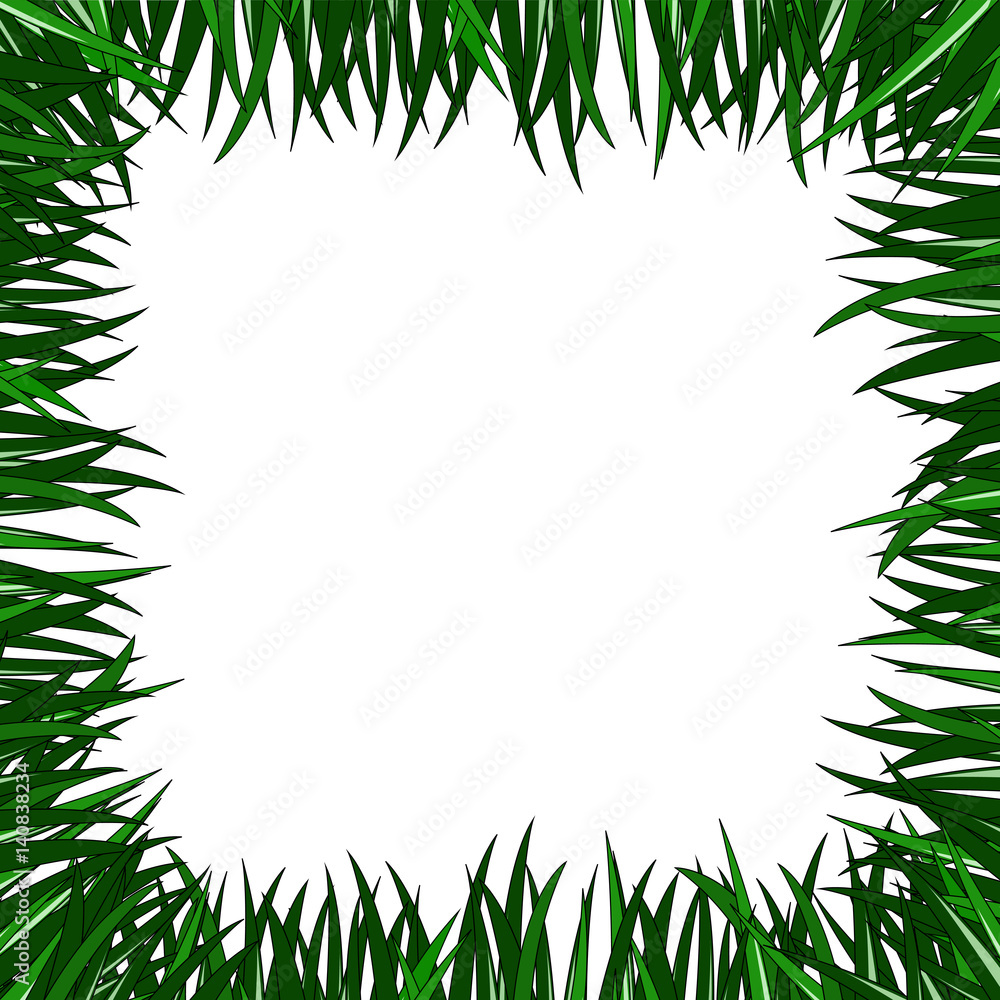 frame of grass frame of grass