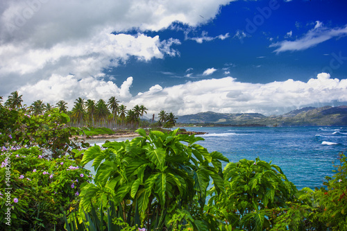 Amazing Caribbean landscape. Green plants on a background of turquoise sea and sky