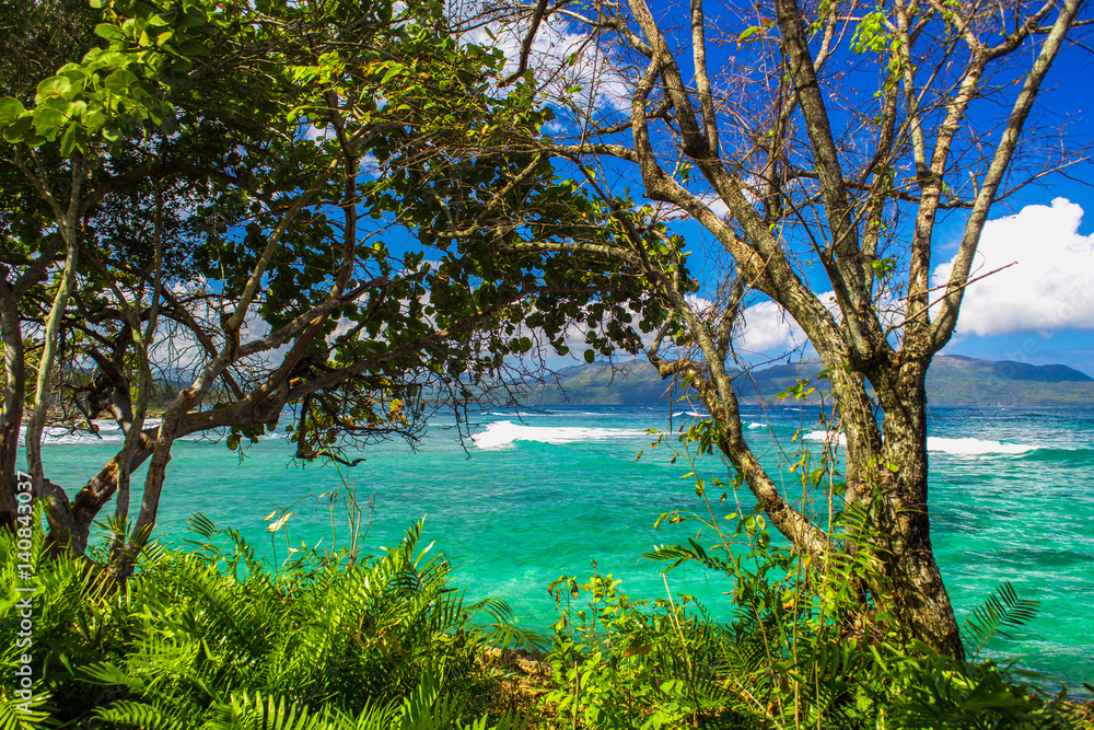 the view of the turquoise Caribbean sea through the green trees