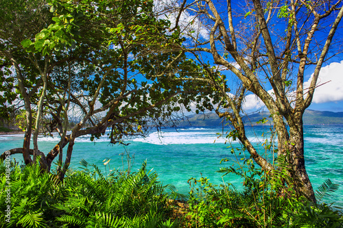 Fototapeta Naklejka Na Ścianę i Meble -  the view of the turquoise Caribbean sea through the green trees