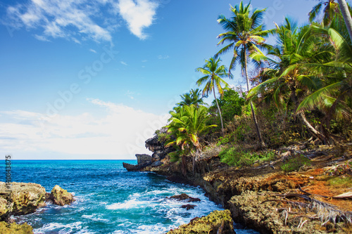 Wild tropical rocky shore, bay, lagoon. Sea stormy Splash, Green palm trees on the rocks. Las Galeras, Samana, Dominican Republic © Sergey