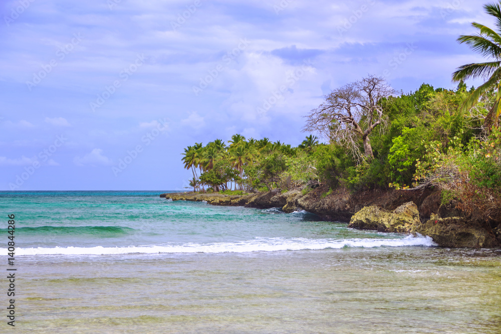 Wild tropical shore. South landscape: ocean, palm trees, sky with white clouds. Samana, Dominican Republic. Vacation concept