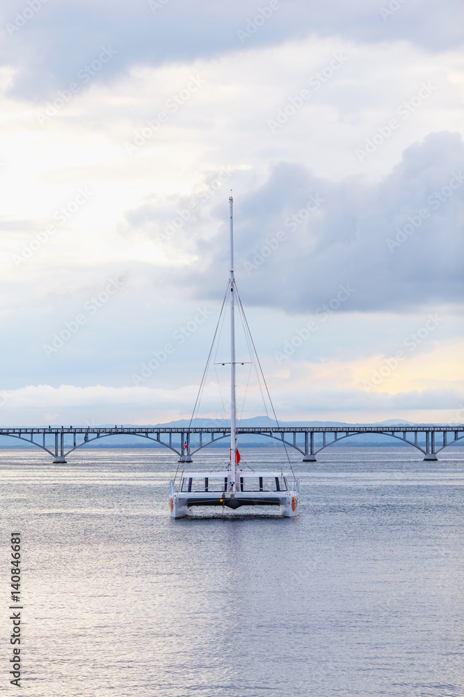 catamaran sailing in the sea on the background of the bridge catamaran sailing in the sea on the background of the bridge