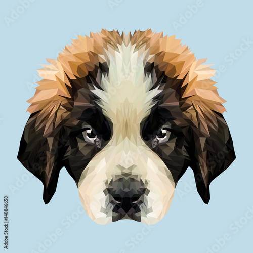 Saint Bernard dog animal low poly design. Triangle vector illustration.