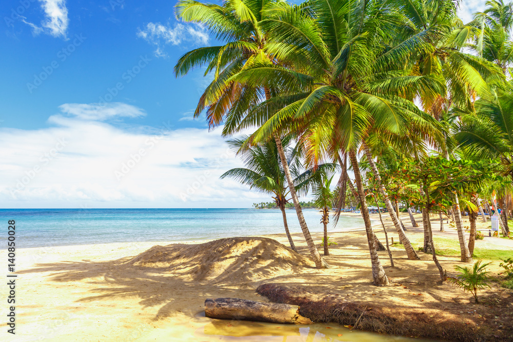 Obraz premium Tropical island. Palm trees, sand, ocean on background of beautiful blue sky