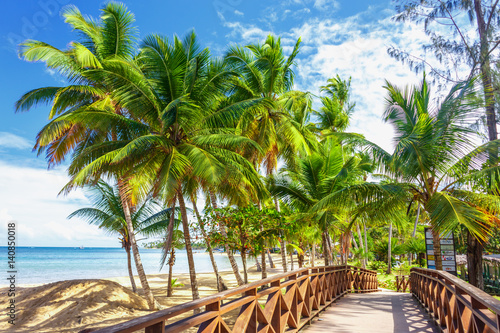 wooden bridge among the palm trees on the beach
