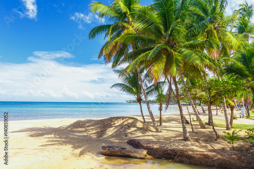 Tropical island. Palm trees  sand  ocean on background of beautiful blue sky