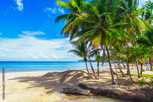 Fototapeta Naklejka Na Ścianę i Meble -  Tropical island. Palm trees, sand, ocean on background of beautiful blue sky