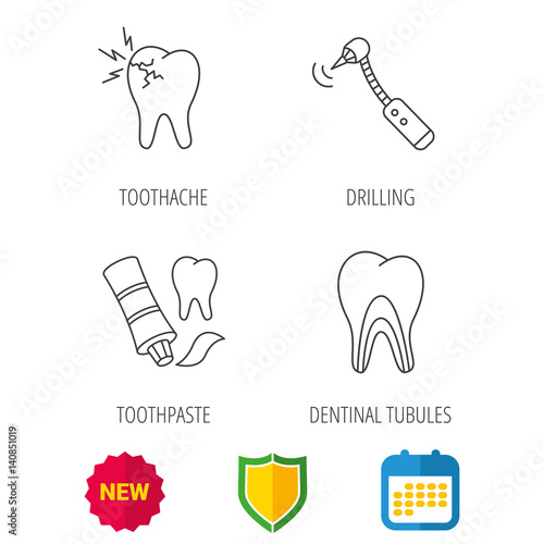 Toothpaste, dental tubules and toothache icons. Drilling tool linear sign. Shield protection, calendar and new tag web icons. Vector