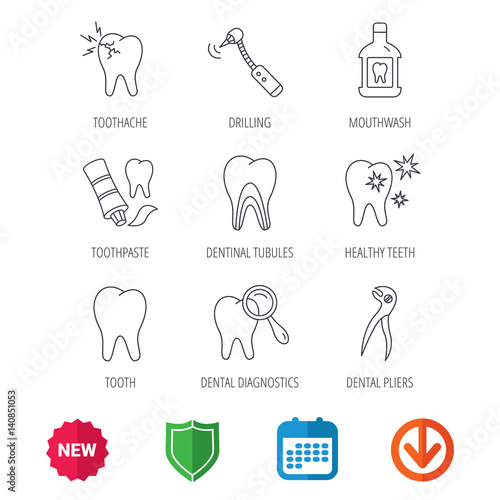 Tooth, stomatology and toothache icons. Mouthwash, dental pliers and diagnostics linear signs. Dentinal tubules, drilling icons. New tag, shield and calendar web icons. Download arrow. Vector