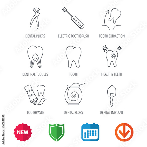 Tooth extraction, electric toothbrush icons. Dental implant, floss and dentinal tubules linear signs. Toothpaste icon. New tag, shield and calendar web icons. Download arrow. Vector
