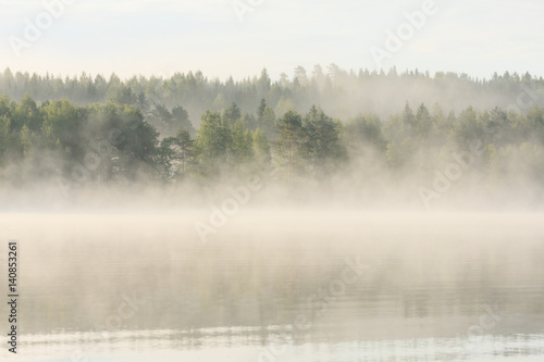 Foggy forest and lake at dawn 