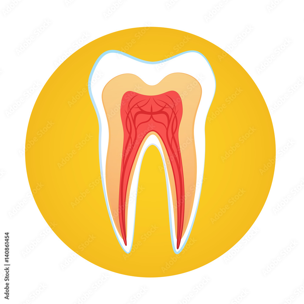 Tooth Medical Care World Health Day Healthy Banner Flat Vector Illustration Tooth Medical Care World Health Day Healthy Banner Flat Vector Illustration