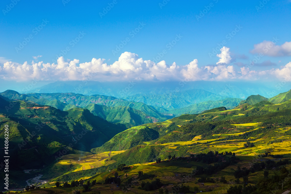 Obraz premium Terraced rice fields in Vietnam
