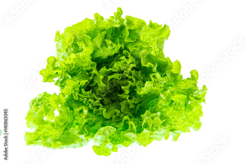 green fresh lettuce